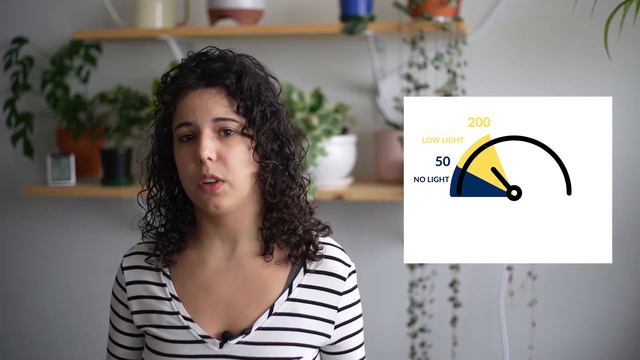 How to Measure Light for Plants using your Phone смотреть онлайн