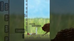Universal Zoom