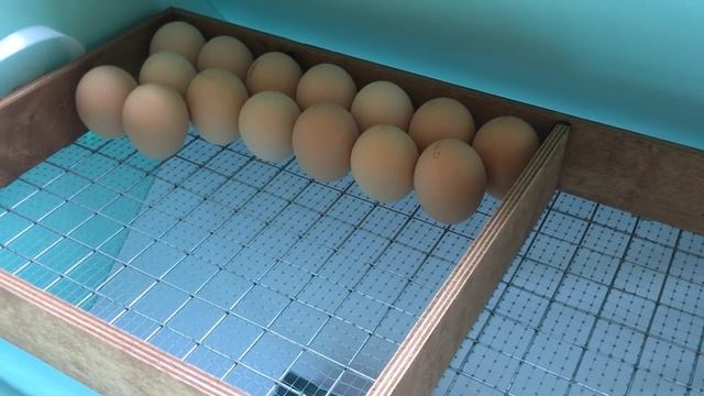ХОЗЯЙСТВО СТАНЕТ ЕЩЁ БОЛЬШЕ. БРОЙЛЕРАМ БЫТЬ. ЗАКЛАДКА ЯИЦ В ИНКУБАТОР. ЖИЗНЬ В ДЕРЕВНЕ смотреть онлайн