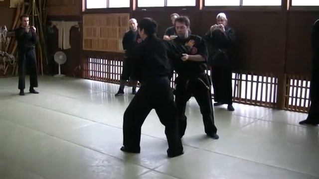 Shiraishi Isamu - Sanshin & Kihon (Hombu 2009) смотреть онлайн