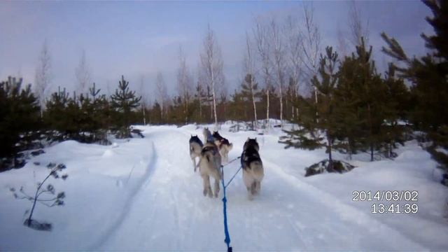 Зимняя Сказка 2014 ЕС смотреть онлайн