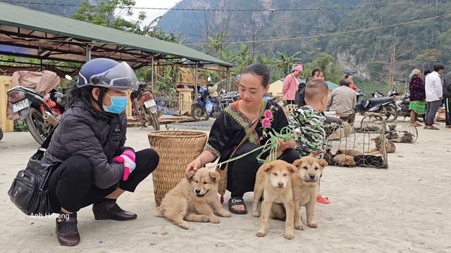 A 17-year-old single mother is looking for a new owner to take care of her puppies , anh hmong смотреть онлайн