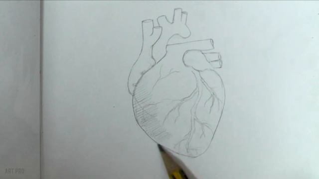 How to Draw a realistic HEART (step by step) смотреть онлайн