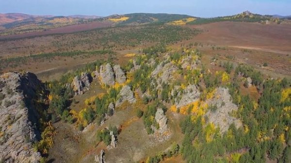 "Кырлы курай" / Поющий тростник / Faceted Pipe