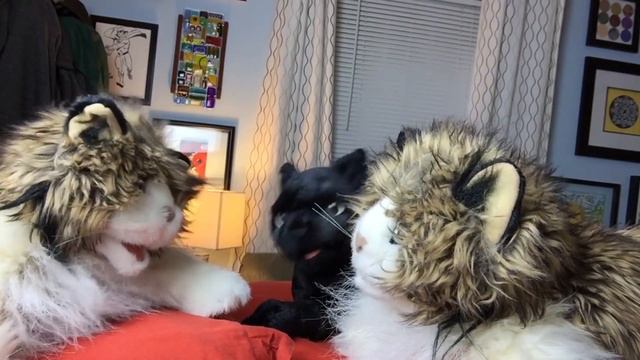 George, the Self-Esteem Cat: Gossip смотреть онлайн