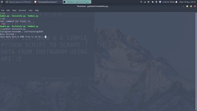 Python Script - FETCHING INSTAGRAM DATA смотреть онлайн