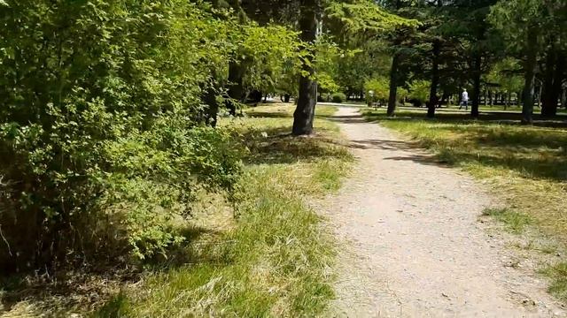 Забор разворован/Гагаринский парк/Набережная/Симферополь/Крым смотреть онлайн
