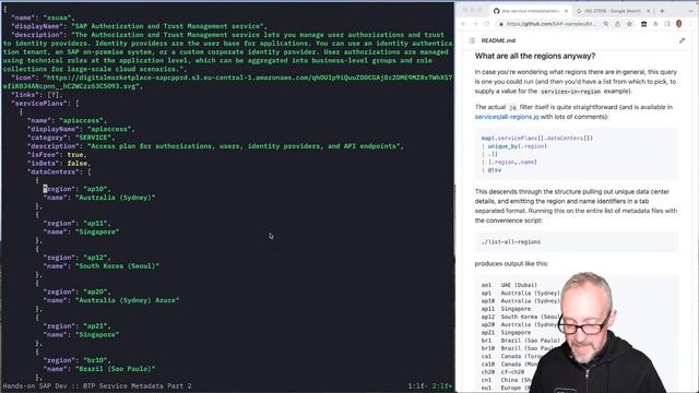 Exploring the BTP Service Metadata project - Part 2 смотреть онлайн