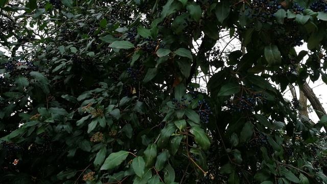 Сочи. Вот так бывает... смотреть онлайн