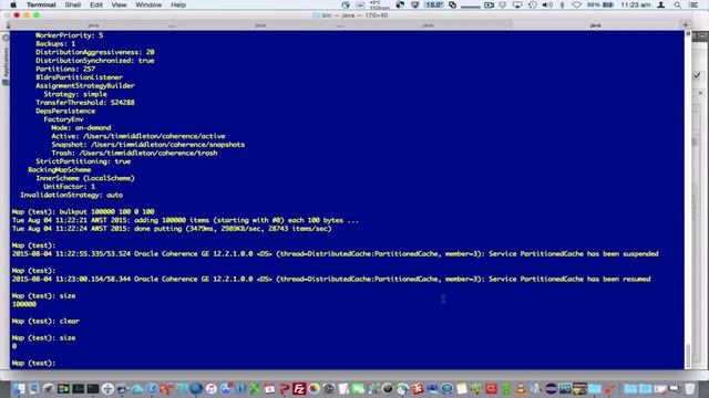 Coherence 12.2.1 - Persistence - Part 1 смотреть онлайн
