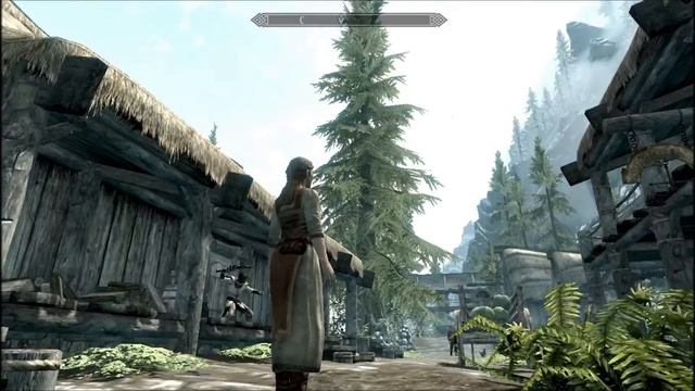 КАК ИГРАТЬ ЗА ЛЮБОГО НПС В СКАЙРИМЕ(всем смотреть видео очень интересное) смотреть онлайн