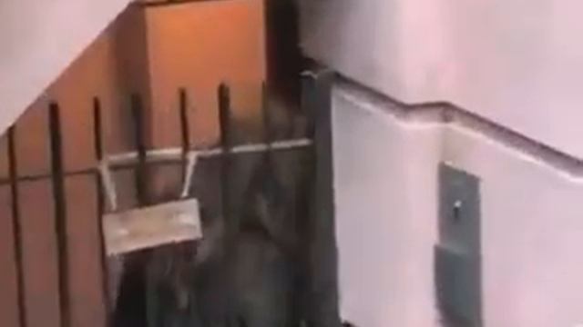 Жизель Бюндхен возвращается домой в Нью Йорке  Gisele Bundchen Arriving Home In New York City