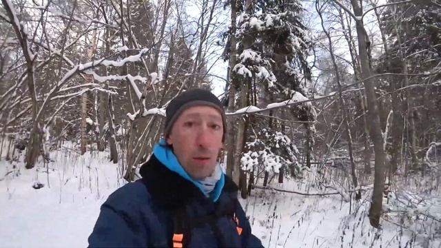 С первым днём ЗИМЫ! Фото Дятла! смотреть онлайн