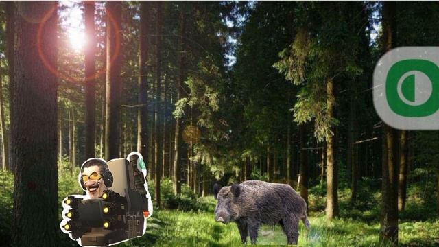 короче хз как назвать смотреть онлайн