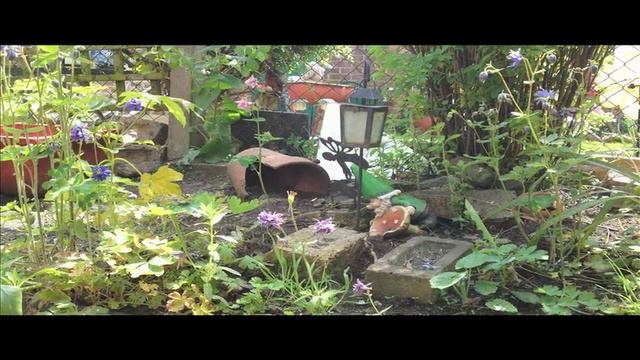 Sony Ericsson Satio Picture Slideshow (Camera Test) смотреть онлайн