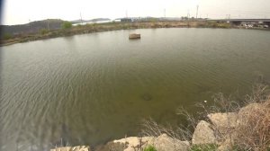 Охота с Рогаткой весенний выход