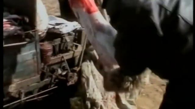 Путь мяса к нашему столу | Столу | Вся правда смотреть онлайн