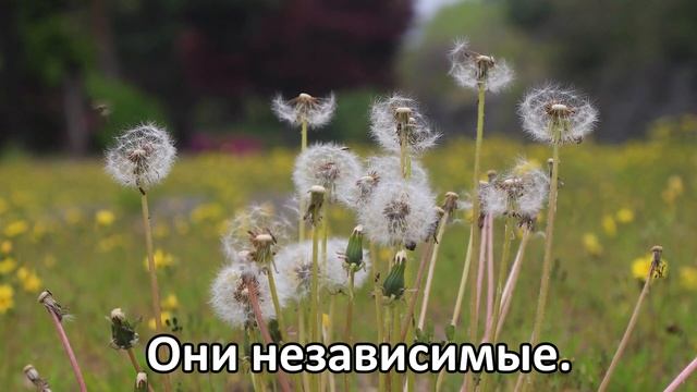 ДЕВА - 10 суровых истин любви к этому знаку. смотреть онлайн