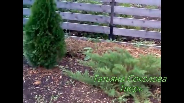 Создаем декоративный сад своими руками - САД ТРЕХ У. Дизайн участка своими руками. смотреть онлайн