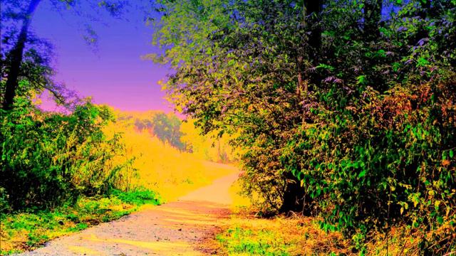 F.MENDELSSOHN BARTHOLDY- PIANO QUARTET In F Minor Op.2- Adagio