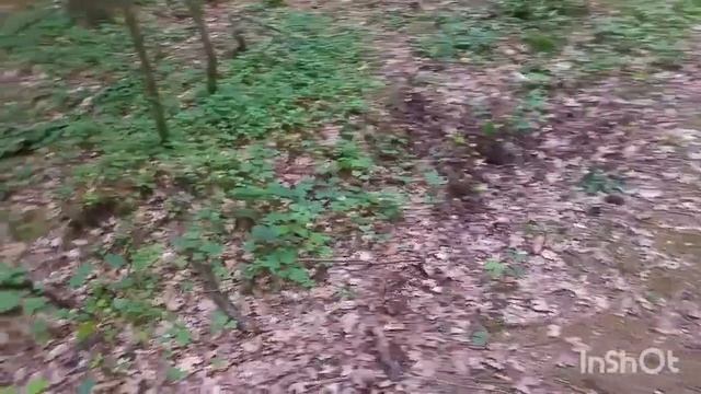 НЕУЖЕЛИ МЕТЕОРИИИТ!? смотреть онлайн
