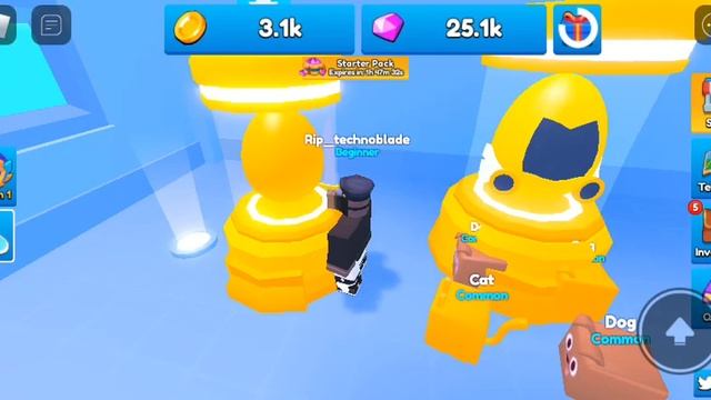 Playing Firework Sim