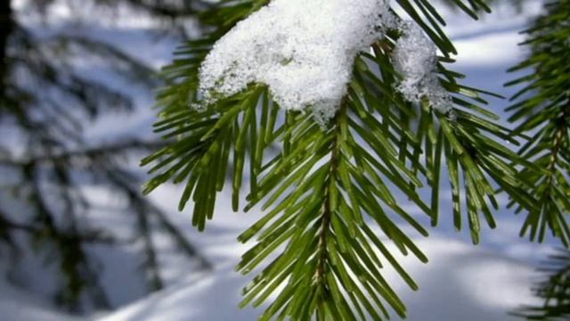 Ну,здравствуй зима Краснова Э. смотреть онлайн