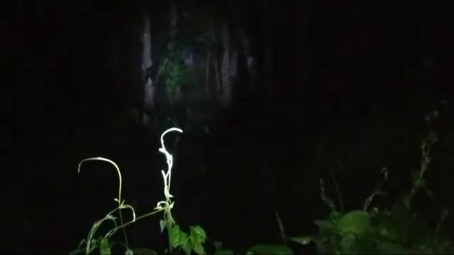 LIVE MISTERI GUNUNG SEMAR смотреть онлайн