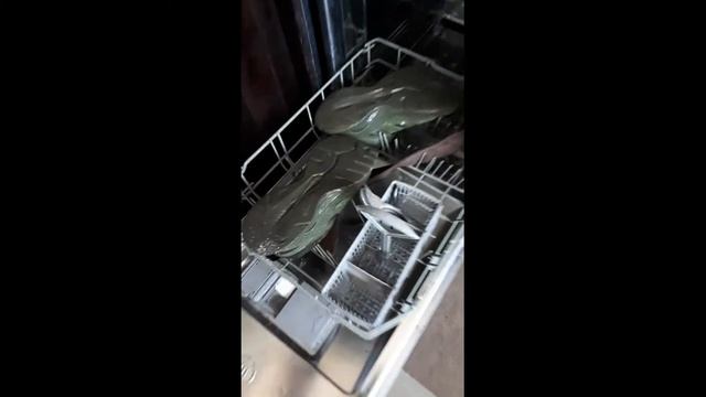Стираю кроссовки в посудомойки смотреть онлайн