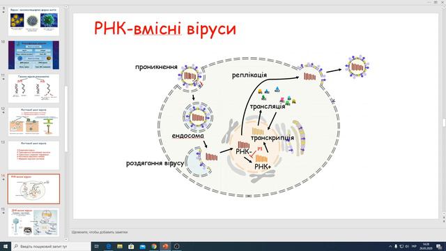 Віруси смотреть онлайн