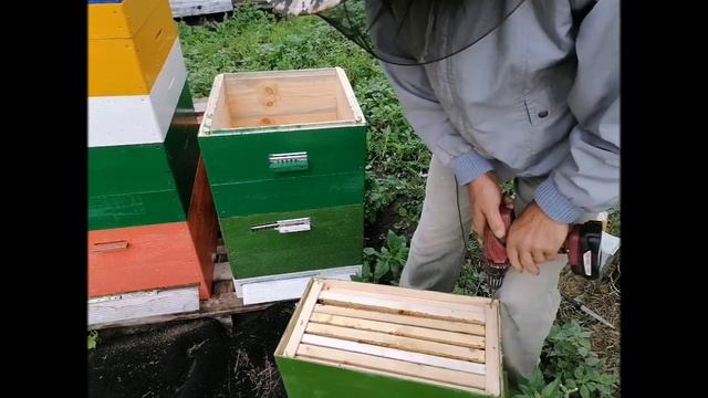 способ объединения пчелосемей без поиска матки смотреть онлайн