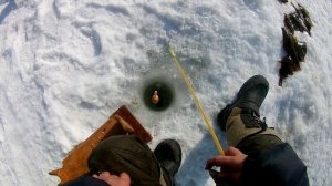 Ловля камбалы в Тавричанке. Зимняя рыбалка в Приморском крае.