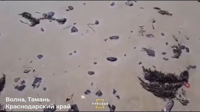 ТАМАНЬ - КУБАНСКАЯ НИГЕРИЯ смотреть онлайн