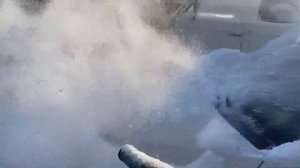 Ветродувка Bosch с подтаившим снегом