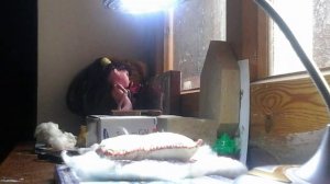 Как вы лупить яйцо без инкубатора