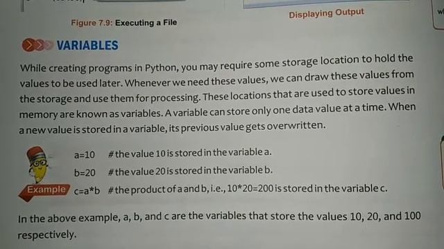 Python Script Mode | Variable In Python | How To Write Variables| Class_8| #pythonprogramming смотреть онлайн