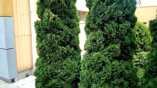 Инженерно геологические изыскания на объекте г. Броницы смотреть онлайн
