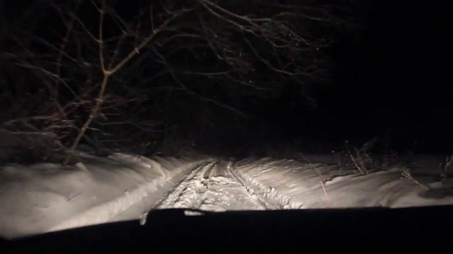 зимой по лесу 11.01.15 смотреть онлайн