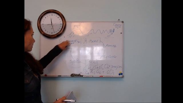 Как оставаться молодым Механизмы старения и как ими управлять смотреть онлайн