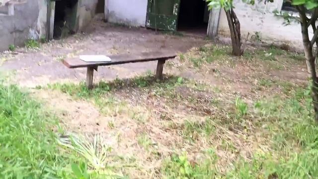 Прошёл дождик и бочка не эффективна в Доме на Юге смотреть онлайн