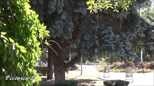 Херсон   Жизнь в зоне  Victoria S