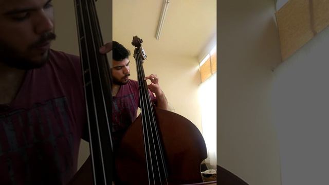 Andante Domenico Dragonetti Double Bass Concert смотреть онлайн