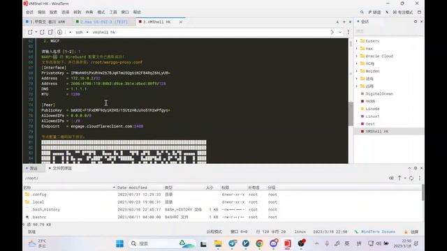 WARP 第一期：添加 IPv4、IPv6出站，导出 WireGuard 节点以及优选 WARP Endpoint IP #warp #ipv4 #ipv6 #wireguard #优选 #IP