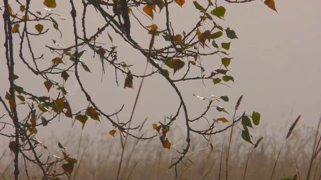 Утро на Козьем острове 2 смотреть онлайн