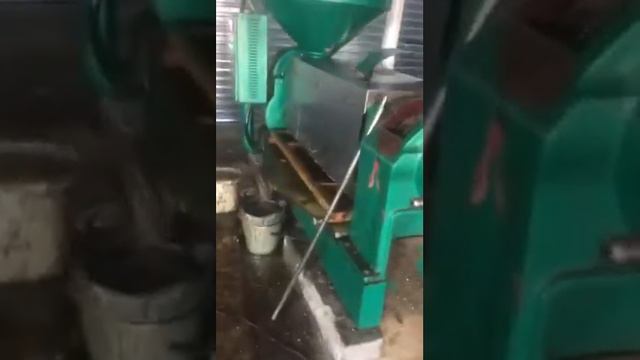 Small oil press machine смотреть онлайн