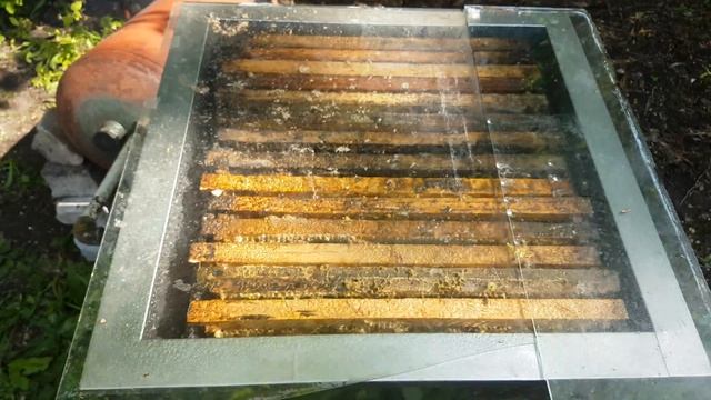 паровая воскотопка смотреть онлайн