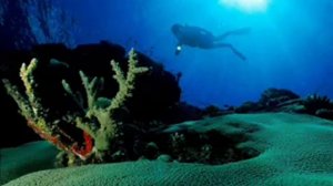 Леми Лем   Море Оставайся Мальчик с Нами