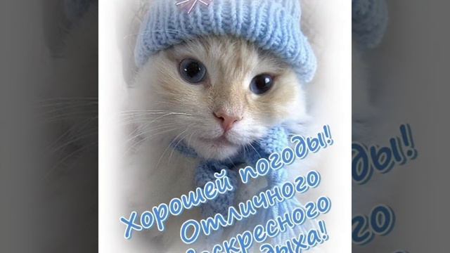 С добрым воскресным утром смотреть онлайн