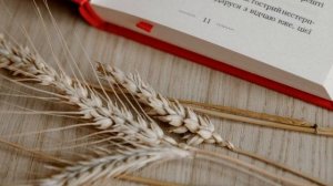 Слушай свое тело.  Лиз Бурбо.  Основные мысли из книги