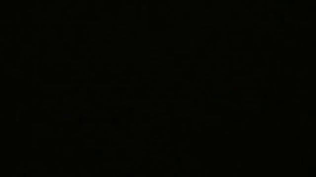 #койоты #шакалы заходят на участок Не боятся людей и собак смотреть онлайн